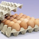 Paper Pulp Products Photography